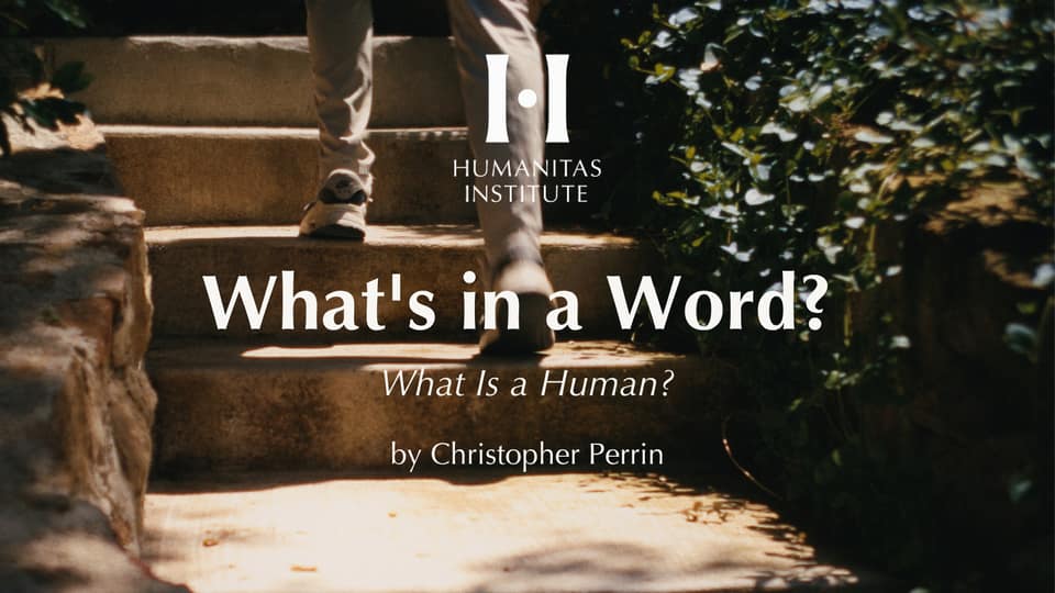 What's in a Word?